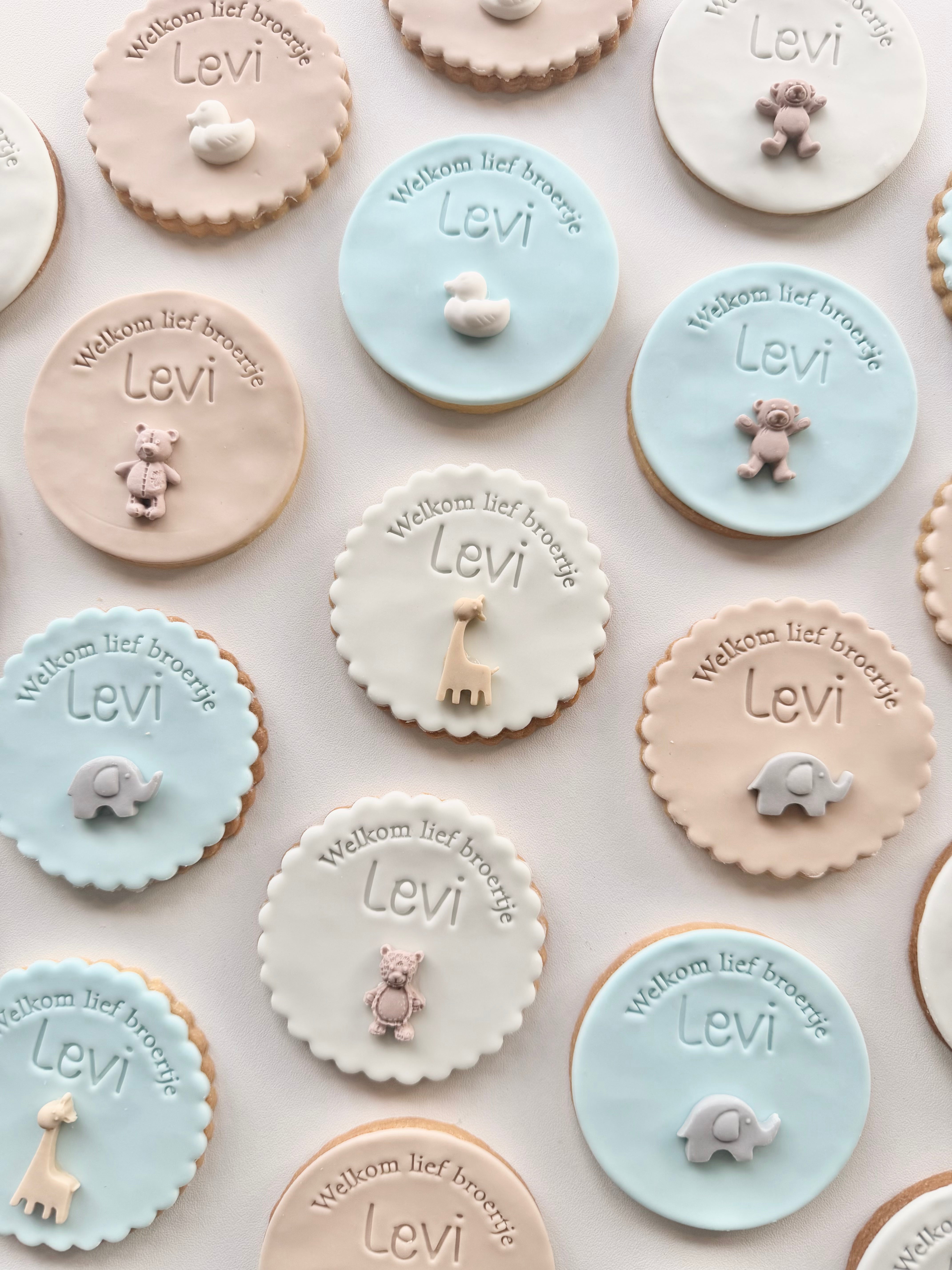 Welkom lief broertje/zusje