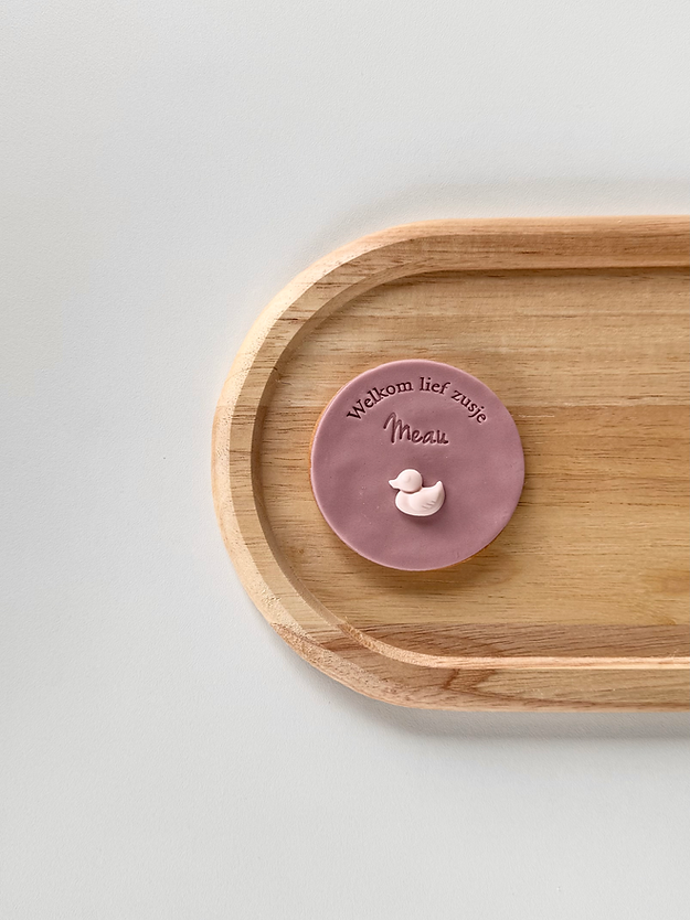 Welkom lief broertje/zusje