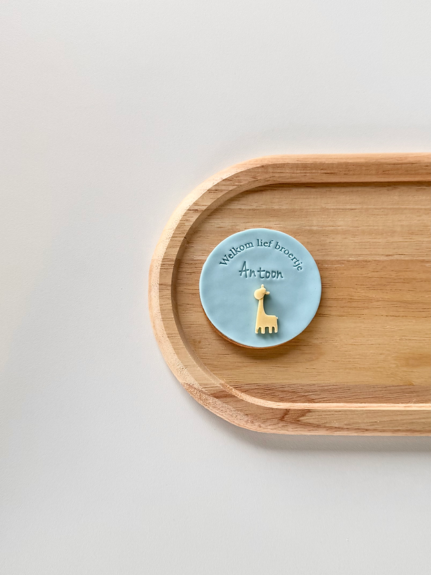 Welkom lief broertje/zusje