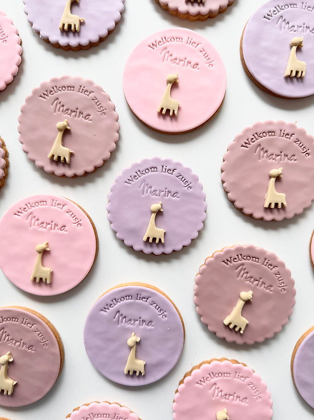 Welkom lief broertje/zusje